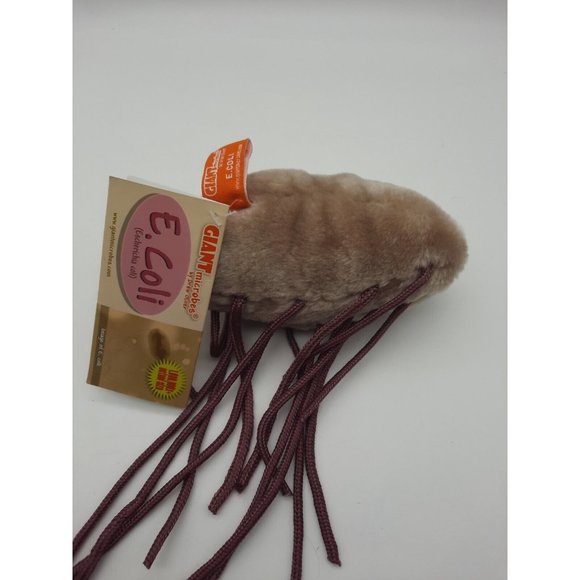 E COLI Giant Microbes Plush By Drew Oliver Medical w/Facts Card 2005 NWT 7" Wide - Picture 6 of 9